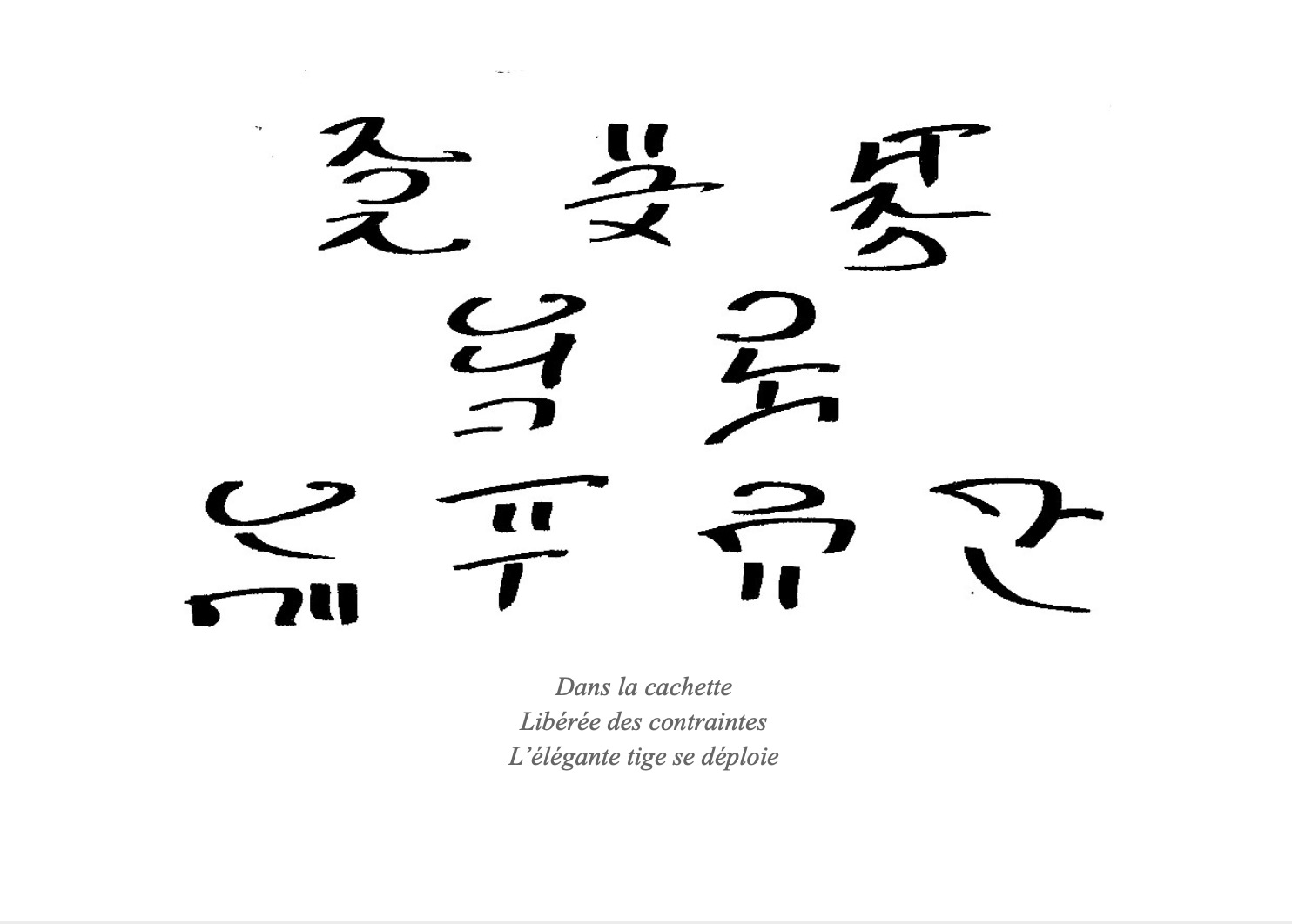 sanadele62